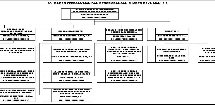 STRUKTUR ORGANISASI